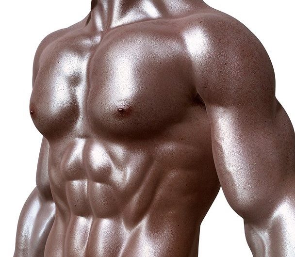 Est-ce que le Clenbutrol est efficace pour maigrir sans perdre de muscle ?